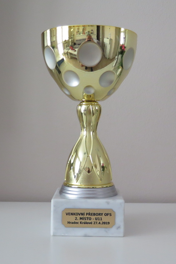 Výborná reprezentace hráčů souklubí r. 2008