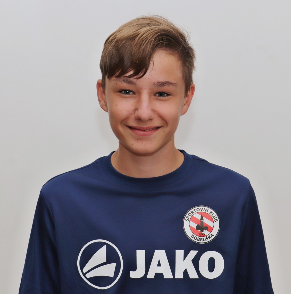 Zrzavý David